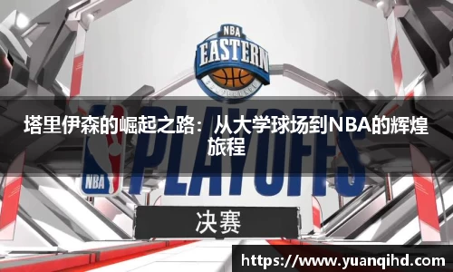 星空·综合体育官方网站